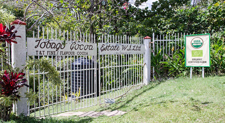 Tobago Cocoa Estate